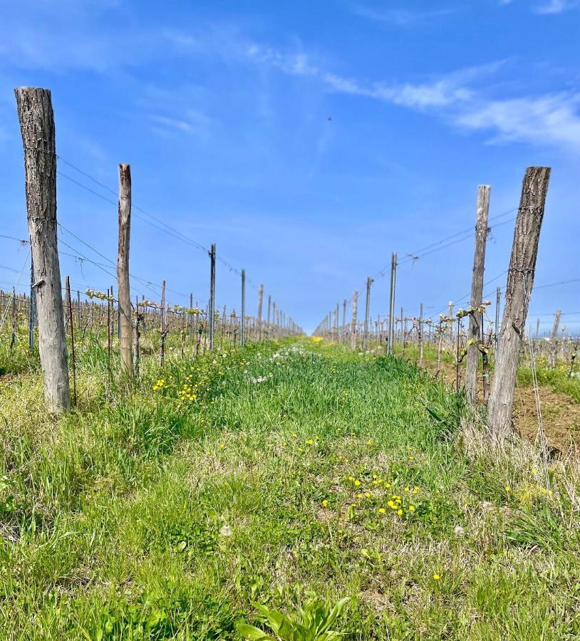 Olea Mar Apartma Pobegi Esterno foto